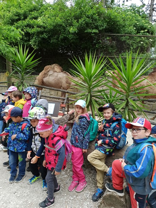 Kočičky - páteční výlet do ZOO