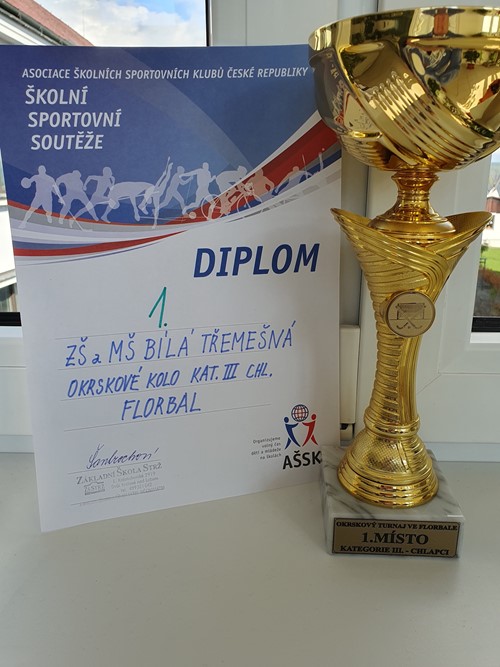 1. místo na florbalovém turnaji