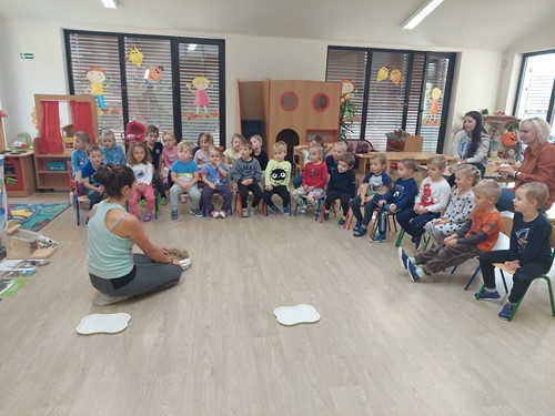 Vzdělávací program v MŠ