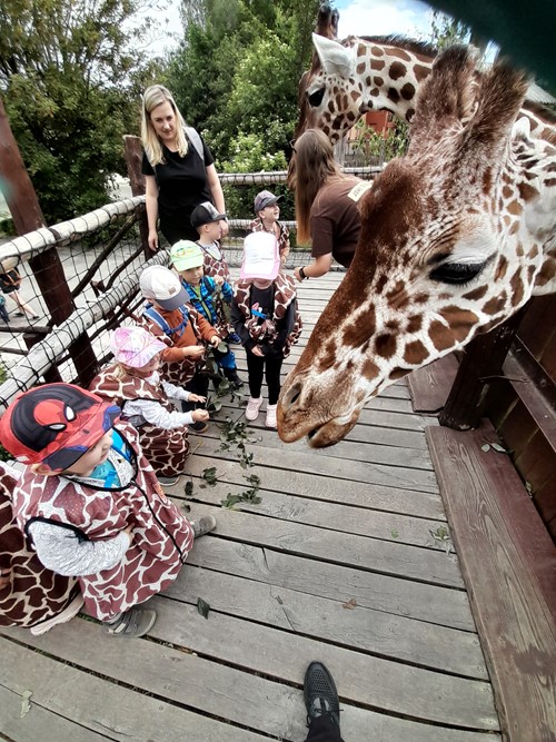 Za novými zážitky do ZOO