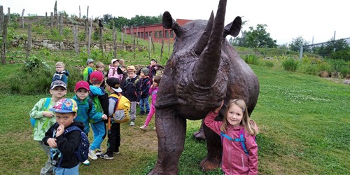 Kočičky v ZOO
