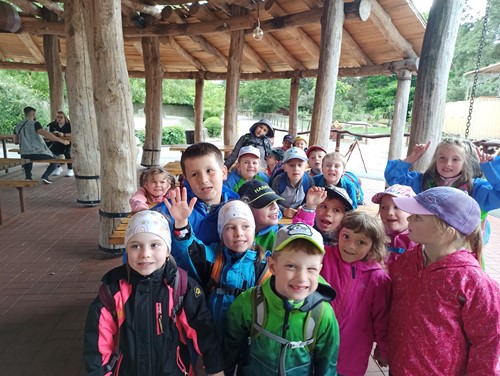 Táboření v ZOO kempu