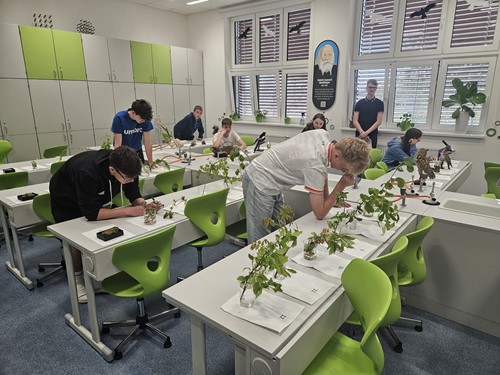 Školní kolo soutěže Poznávání přírodnin