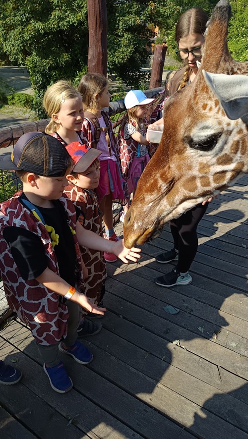 Dobrodružství v ZOO