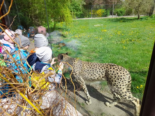 Jarní výlet do ZOO